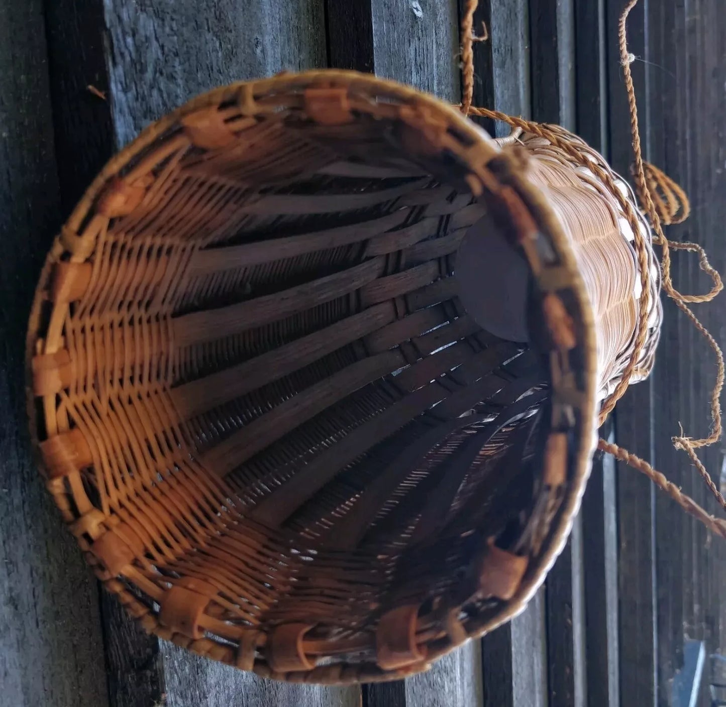 Borneo Fish / Eel Trap Rattan Ceiling or Wall Light